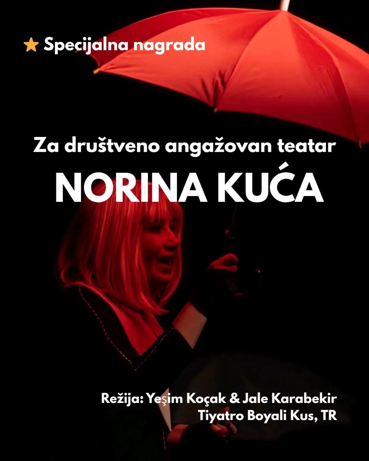 Nagrada za društveno angažovan teatar: Norina kuća, Tiyatro Boyalı Kuş